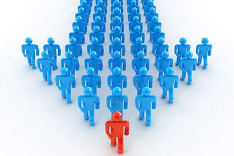 Lợi ích khi làm website một chuỗi hệ thống Pet Shop