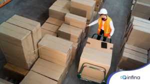 Cấp độ nhân viên (Entry Level)