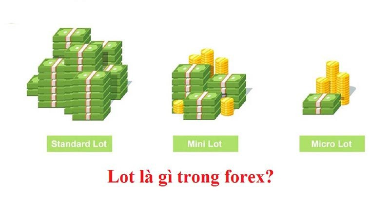 Lot là gì trong Forex