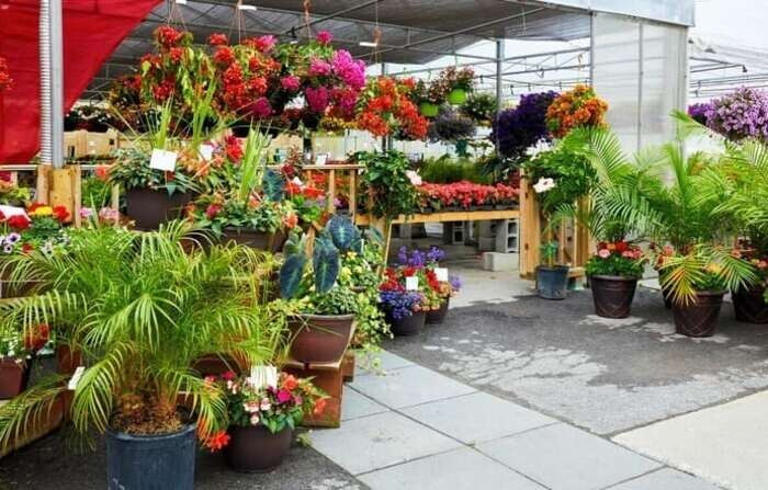 Có 500 triệu nên kinh doanh gì ở nông thôn sinh lời hiệu quả