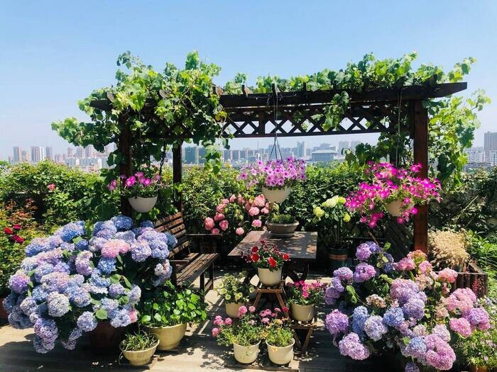 [MỚI NHẤT] Kinh nghiệm kinh doanh hoa tươi vốn ít, lời cao từ A-Z