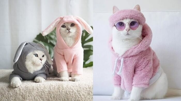 Mùa đông bán gì chạy nhất? Top 9 ý tưởng kinh doanh không nên bỏ qua