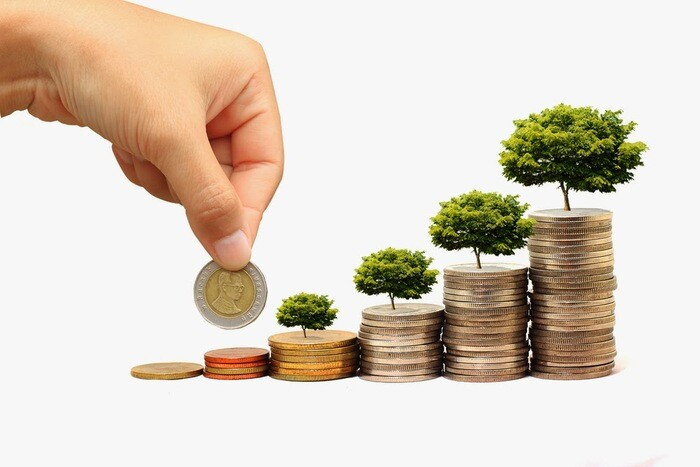 Vốn 30 triệu nên kinh doanh gì rủi ro thấp, lợi nhuận cao nhất