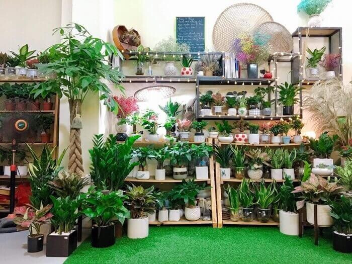 Vốn 5 triệu nên kinh doanh gì? Top 10+ ý tưởng tiềm năng nhất 2024