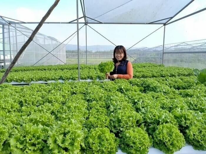 Vốn 5 triệu nên kinh doanh gì? Top 10+ ý tưởng tiềm năng nhất 2024