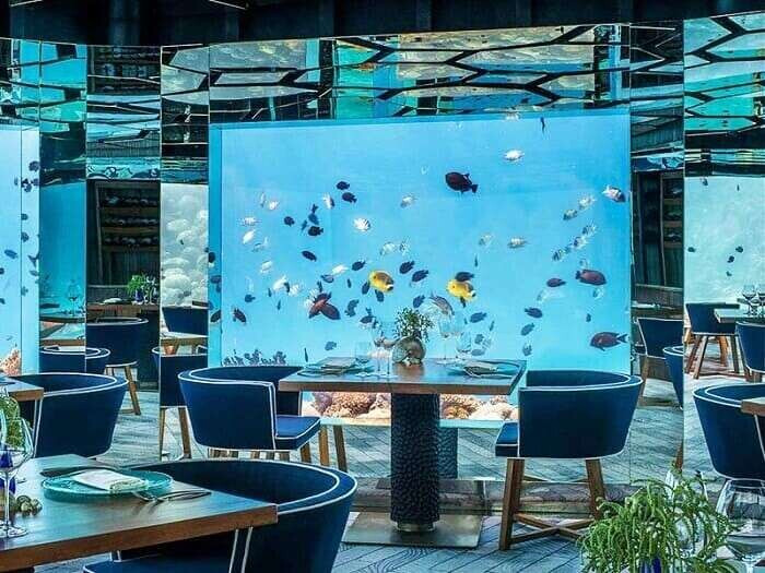 20+ mẫu thiết kế nhà hàng hải sản đẹp, ấn tượng nhất hiện nay