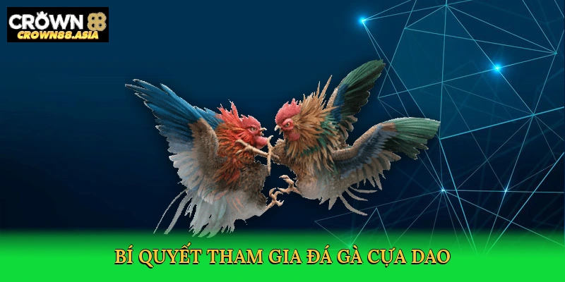 bi-quyet-tham-gia-da-ga-cua-dao-4