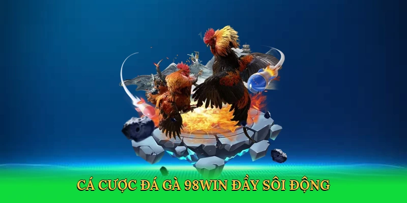 Đá Gà Online 98win – Cá Cược Kịch Tính, Thắng Lớn