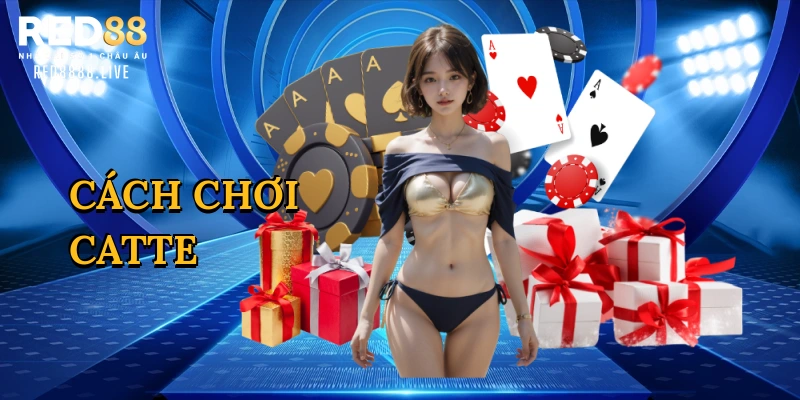 Cách chơi catte