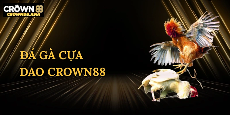 da-ga-cua-dao-crown88-1