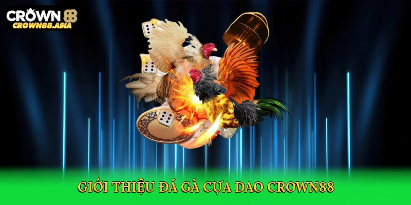 gioi-thieu-da-ga-cua-dao-crown88-2