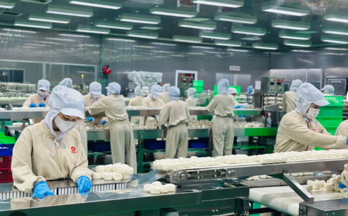 Kinh nghiệm làm đại lý bánh bao Thọ Phát từ A-Z cho chủ kinh doanh