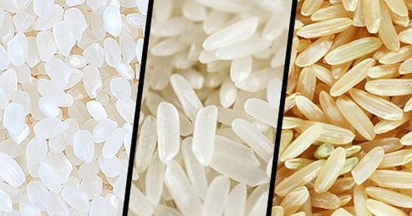 Kinh nghiệm mở đại lý gạo từ A-Z đảm bảo thành công 100%