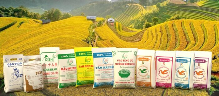 Kinh nghiệm mở đại lý gạo từ A-Z đảm bảo thành công 100%