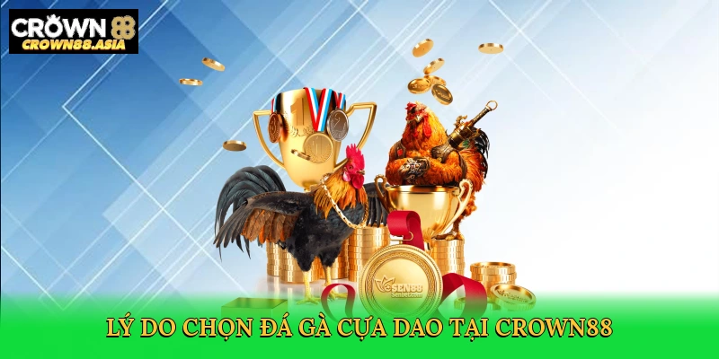 ly-do-chon-da-ga-cua-dao-tai-crown88-3