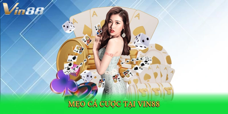 meo-ca-cuoc-tai-vin88-4