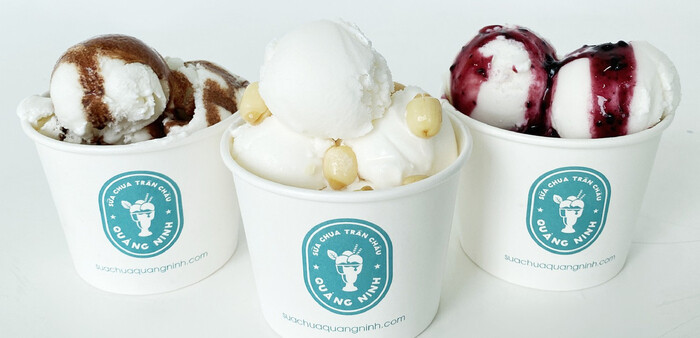 Toplist 15 thương hiệu nhượng quyền sữa chua trân châu tốt nhất